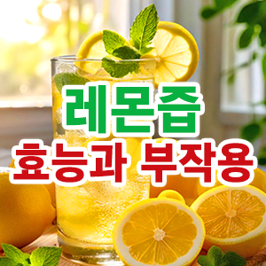 레몬즙의 효농과 부작용에 대해 설명하는 thumbnail