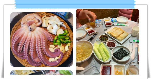 전현무계획2 삼척 문어숙회 골뱅이 수제비 후기