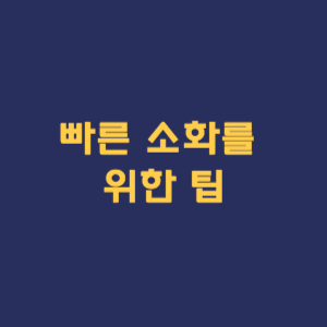 빠른 소화를 위한 팁
