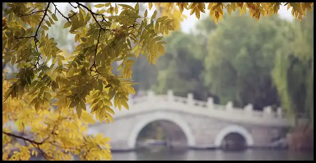 내장산 케이블카 예약방법, 요금, 주차장 정보 (+ 산행코스 )