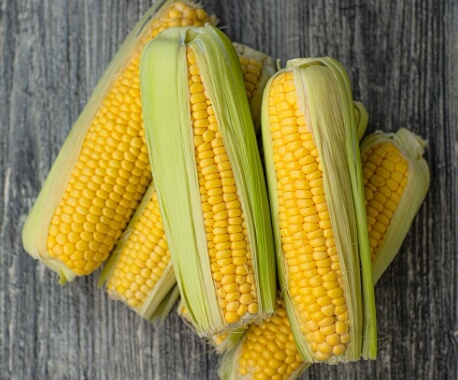 옥수수의 건강에 미치는 효과부터 요리법