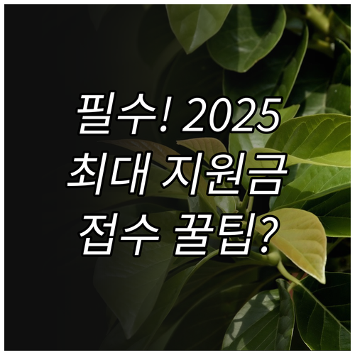 필수 금융 2025 스포츠산업 이차보..