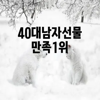 50대 남성을 위한 선물 추천 가이드 및 연령대별 아이템 정리_7
