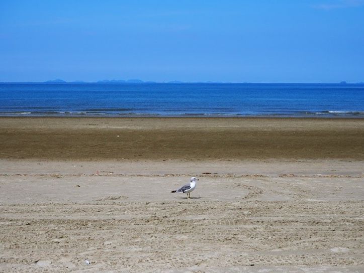 춘장대해수욕장