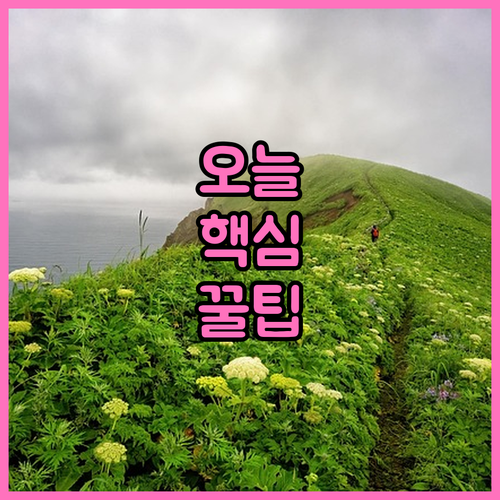 나에게 맞는 2025 폴리텍 직업훈련..