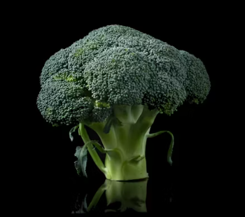 섬유근육통에 좋은 음식 영양제 식단