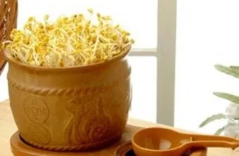 콩나물 재배 콩 불리기 온도 유지 깨끗한 세척_6