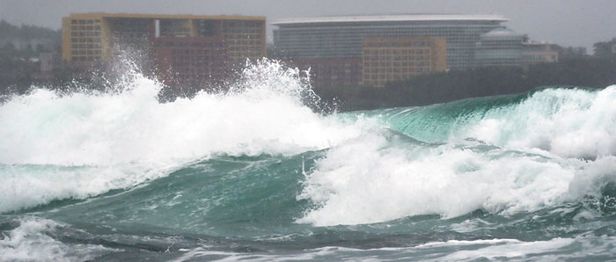 힌남노, 제주도