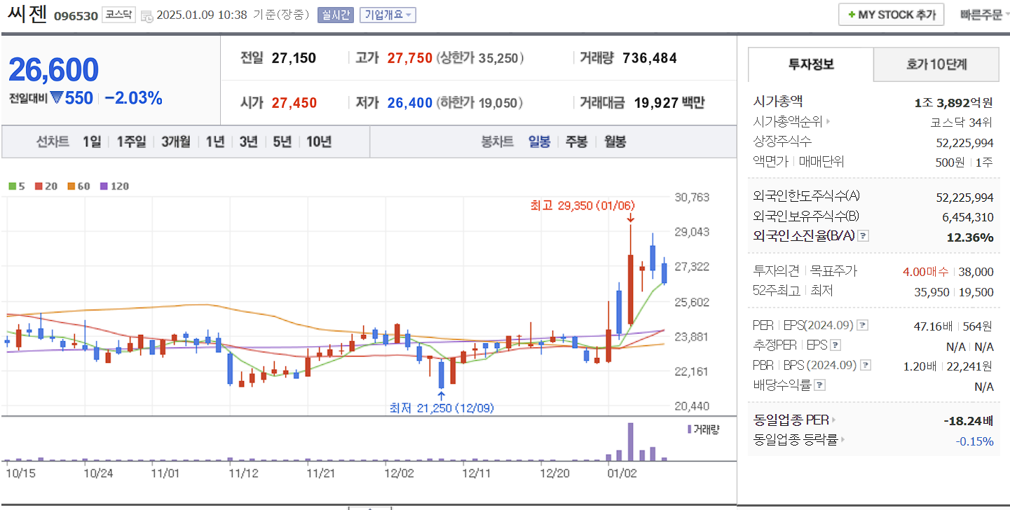 코로나 진단키트 관련주 대장주 씨젠 일봉 차트