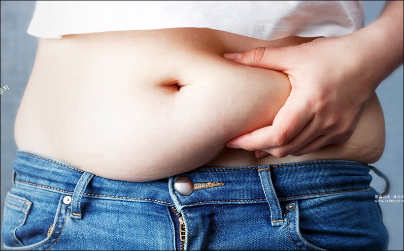 복부 지방