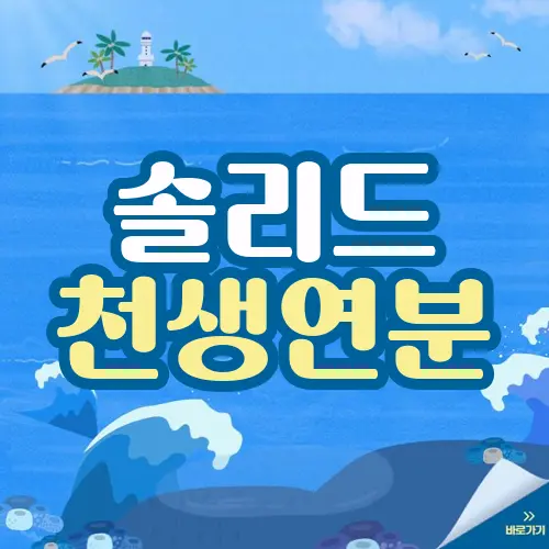 솔리드 천생연분
