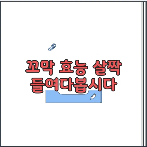 꼬막 효능 살짝 들여다봅시다