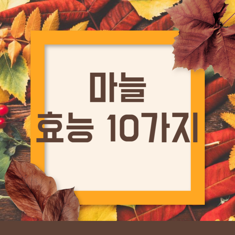 마늘 효능10가지