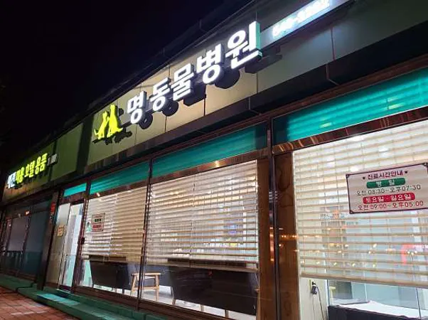 명동물병원