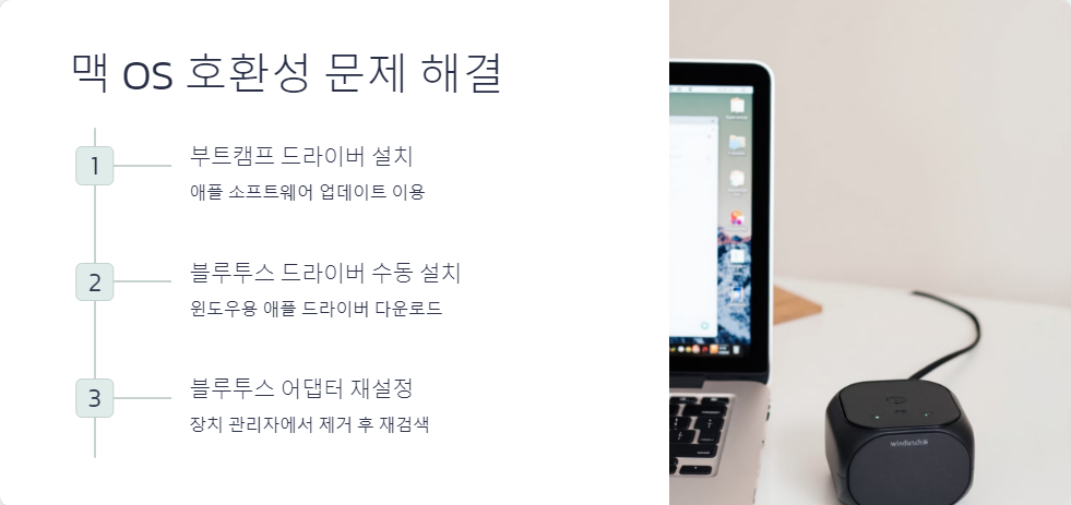 맥호환성