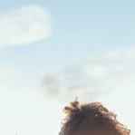 아침 스트레칭 효과