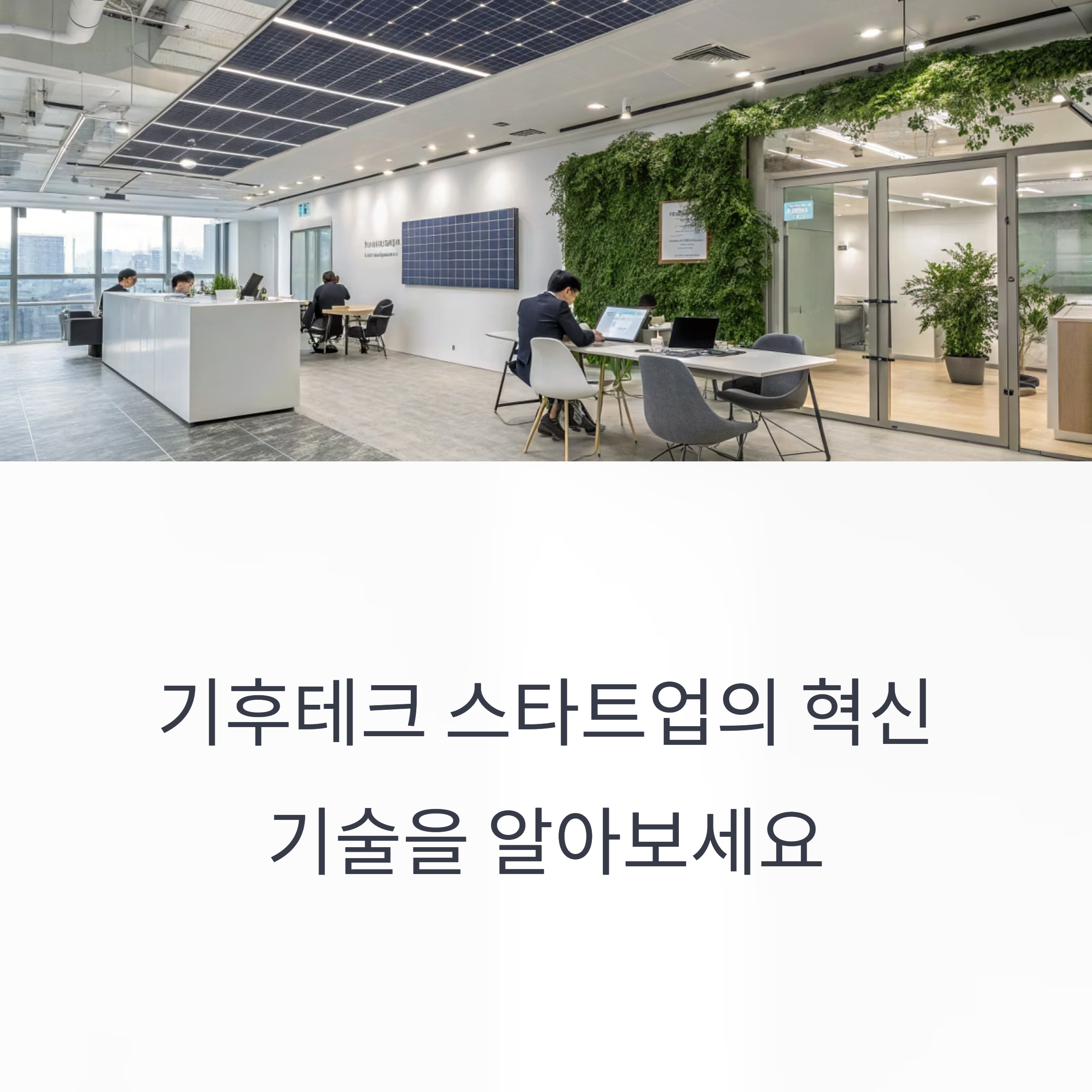 기후테크 스타트업