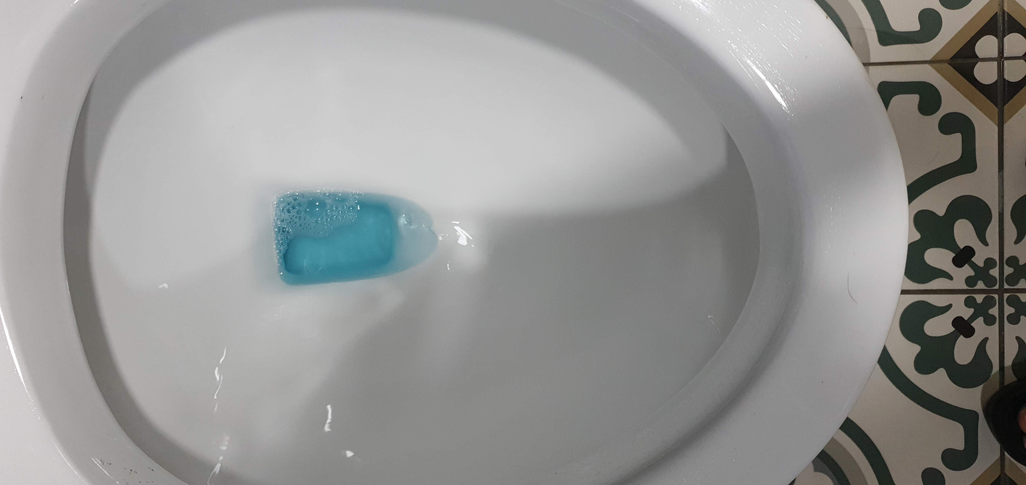 화장실 변기 청소