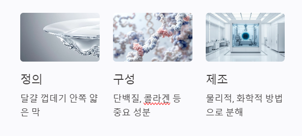 난각막 가수 분해물이란?