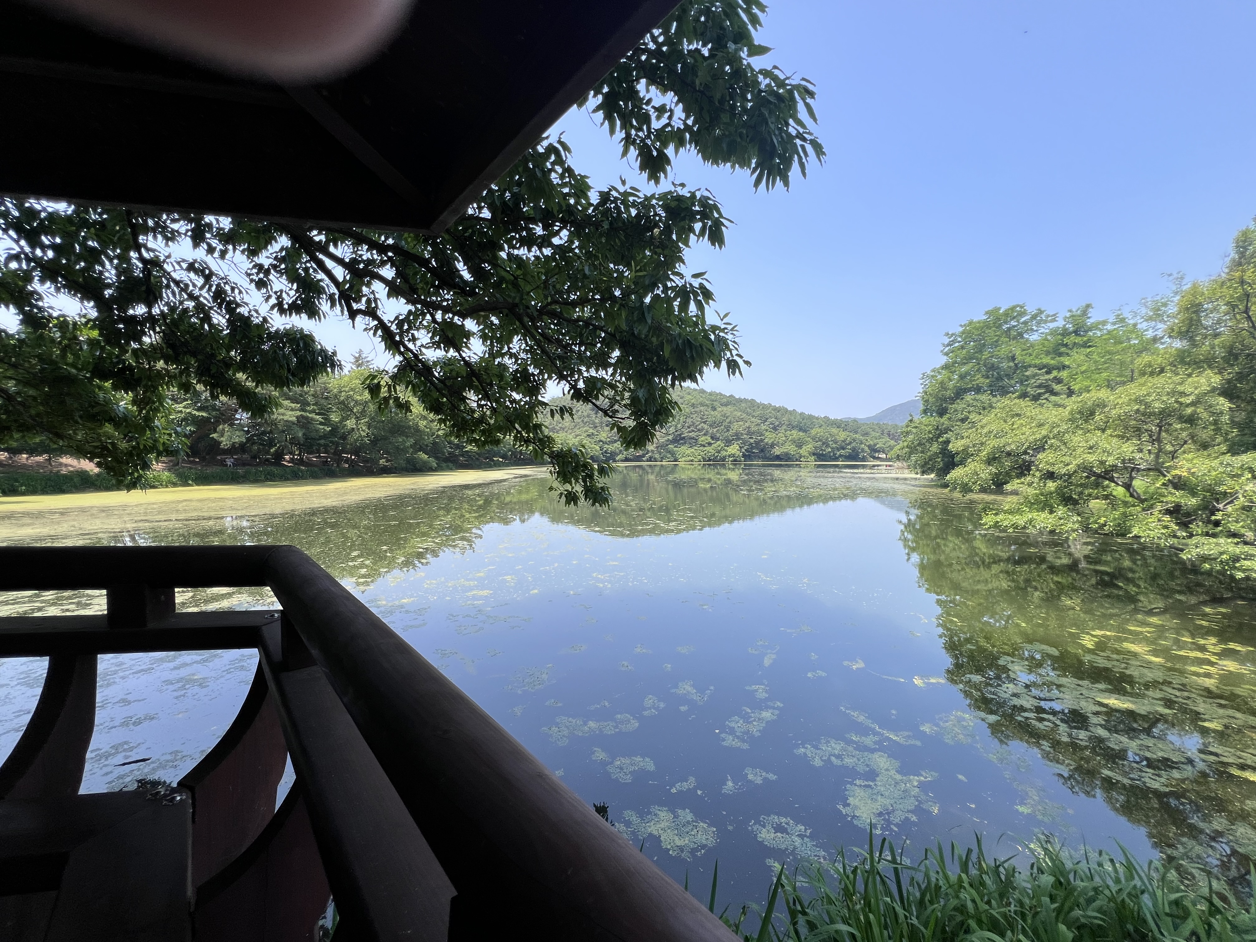 위양지 연못 반영