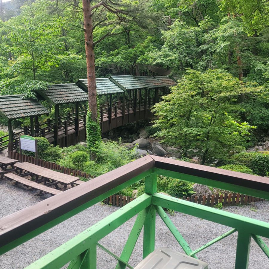 대관령자연휴양림