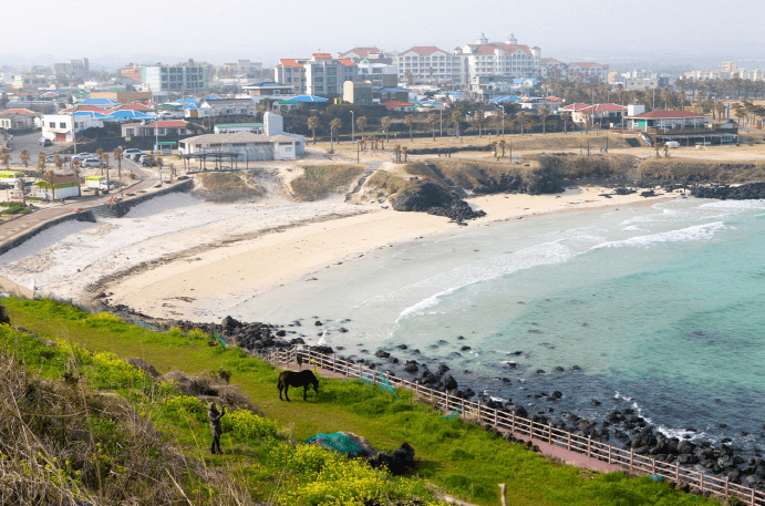 함덕 해수욕장 (제주시)