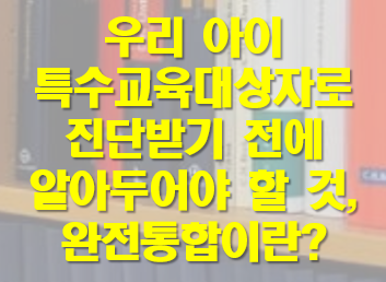 특수교육대상자 완전통합 진단