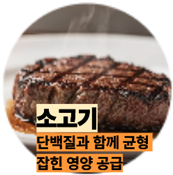 단백질 많은 소고기