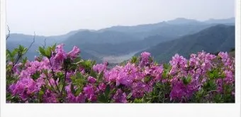 남원 봉화산 철쭉 산행 주차장 등산코스_18