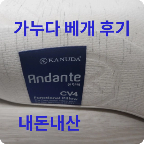 가누다 베개 사용후기