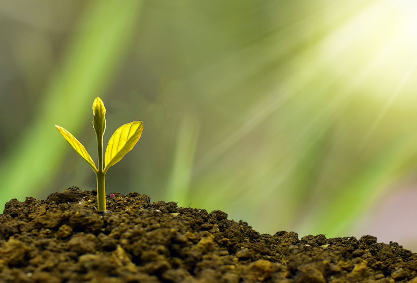 근로&amp;#44;자녀장려금 신청조건