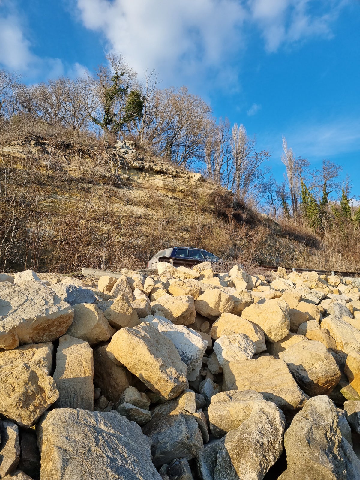 갤럭시 S21 사진 샘플