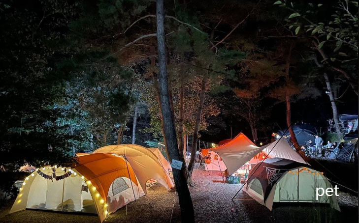 곡성-꿈꾸는캠핑장