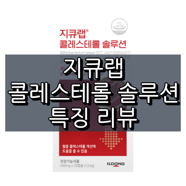 지큐랩 콜레스테롤 솔루션