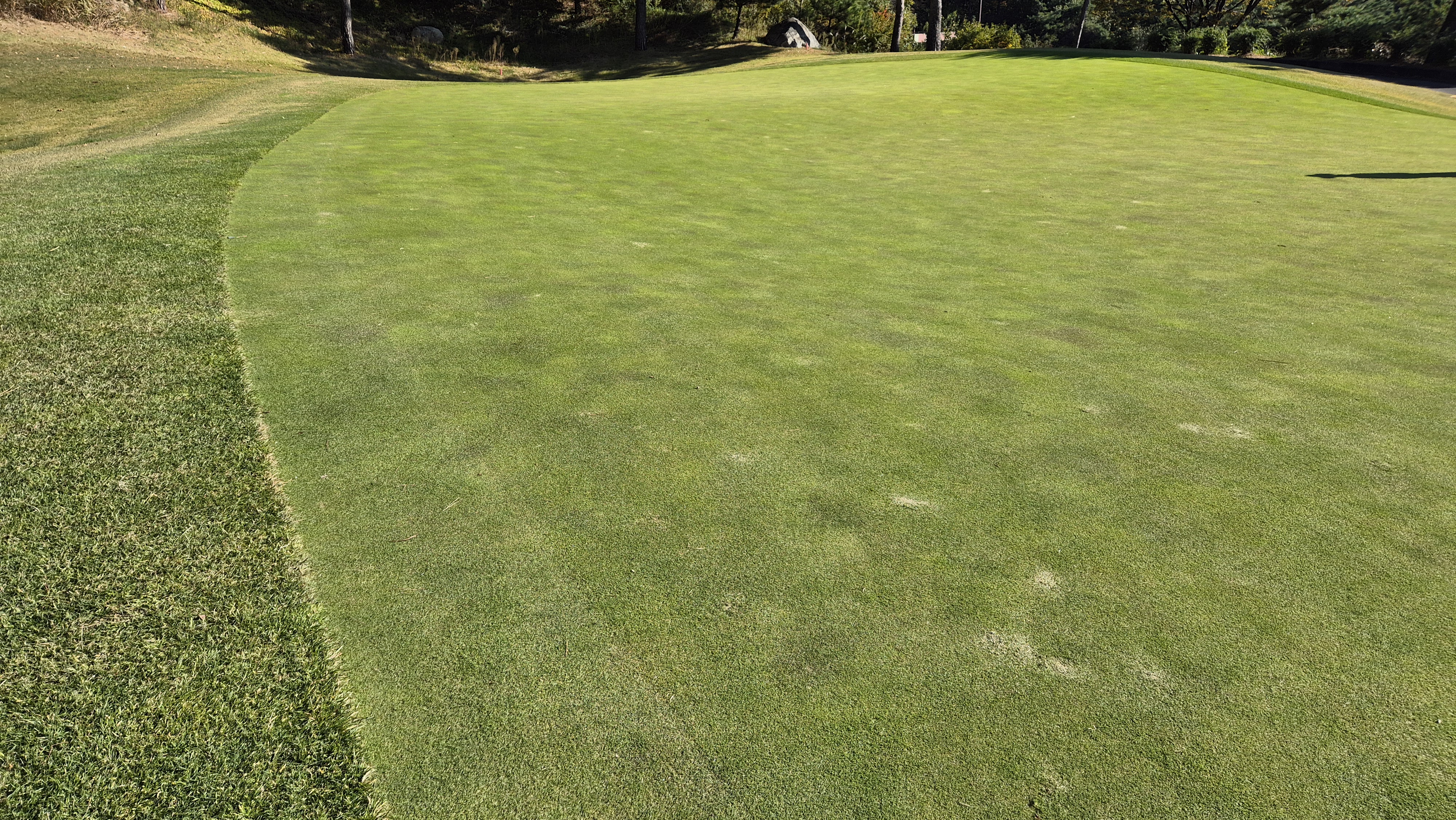 동촌gc 그린빠르기 및 난이도