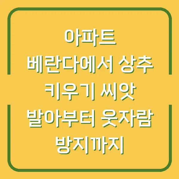 아파트 베란다에서 상추 키우기 씨앗 발아부터 웃자람 방지까지