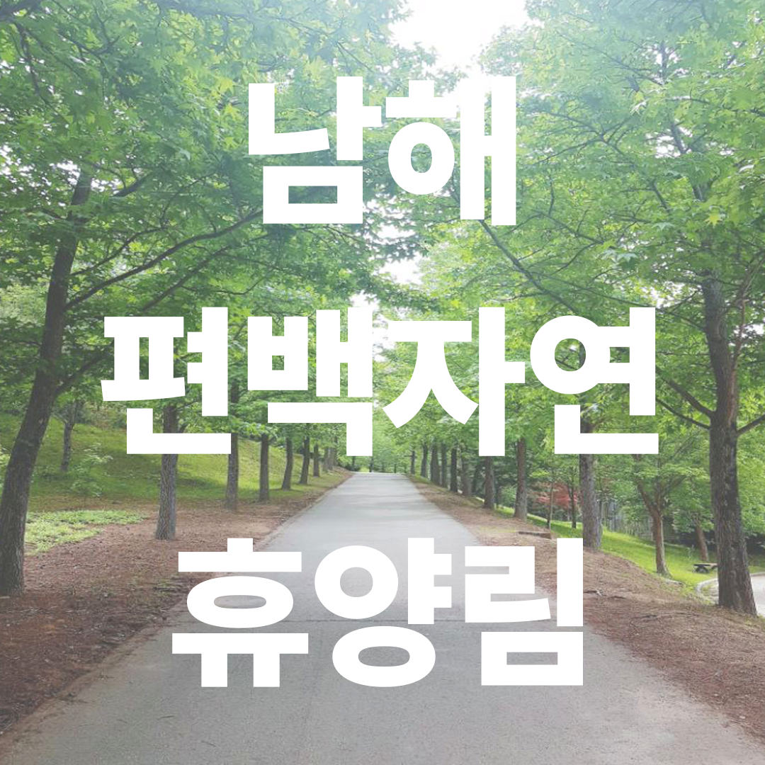 남해편백자연휴양림 완벽 가이드