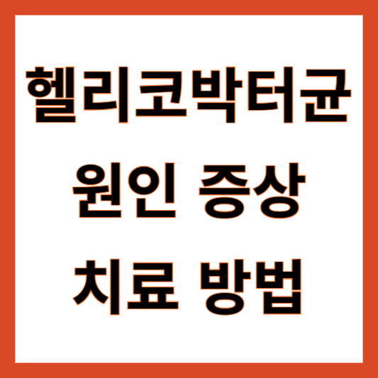 헬리코박터균 원인 치료방법