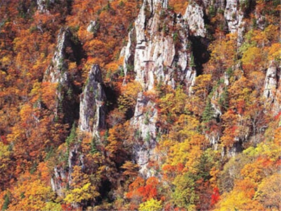 출처 구글이미지 설악산 단풍