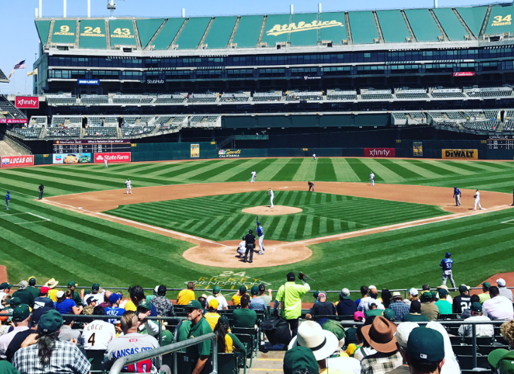 MLB 야구 경지 장면