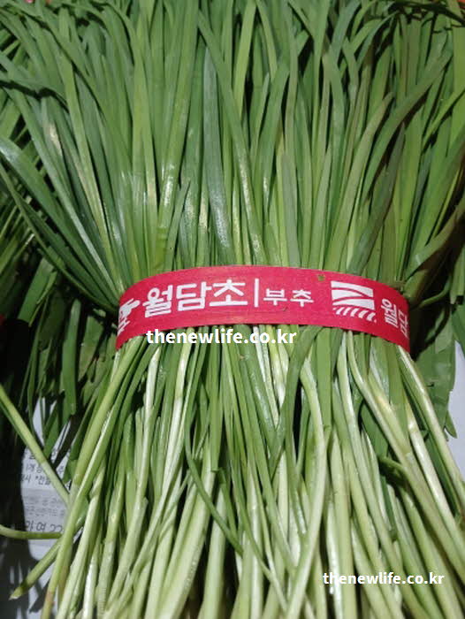 부추 효능 먹는 방법 식용유 참기름