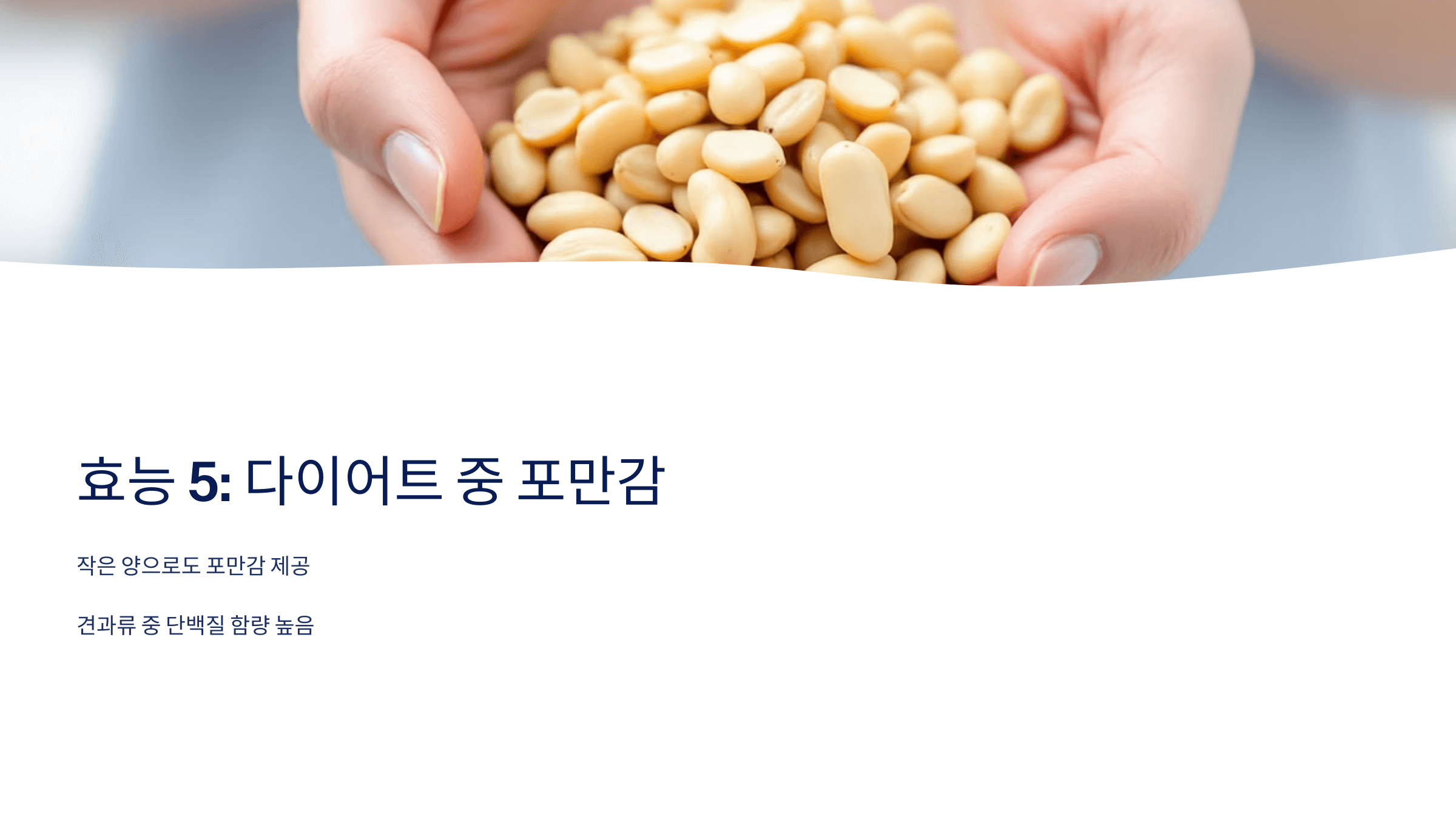 땅콩 사진입니다.