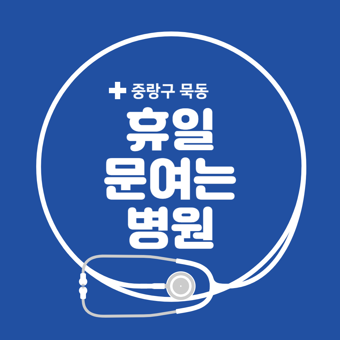 서울시 중랑구 묵동 일요일 진료 휴일 문 여는 병원