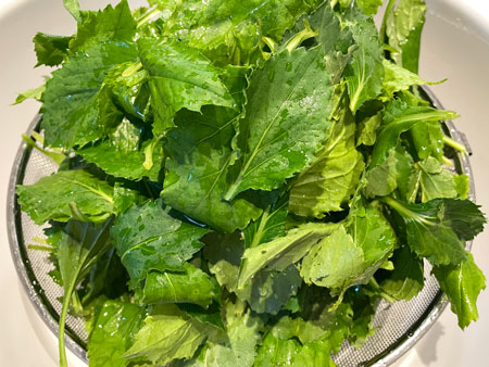 취나물 세척 완료