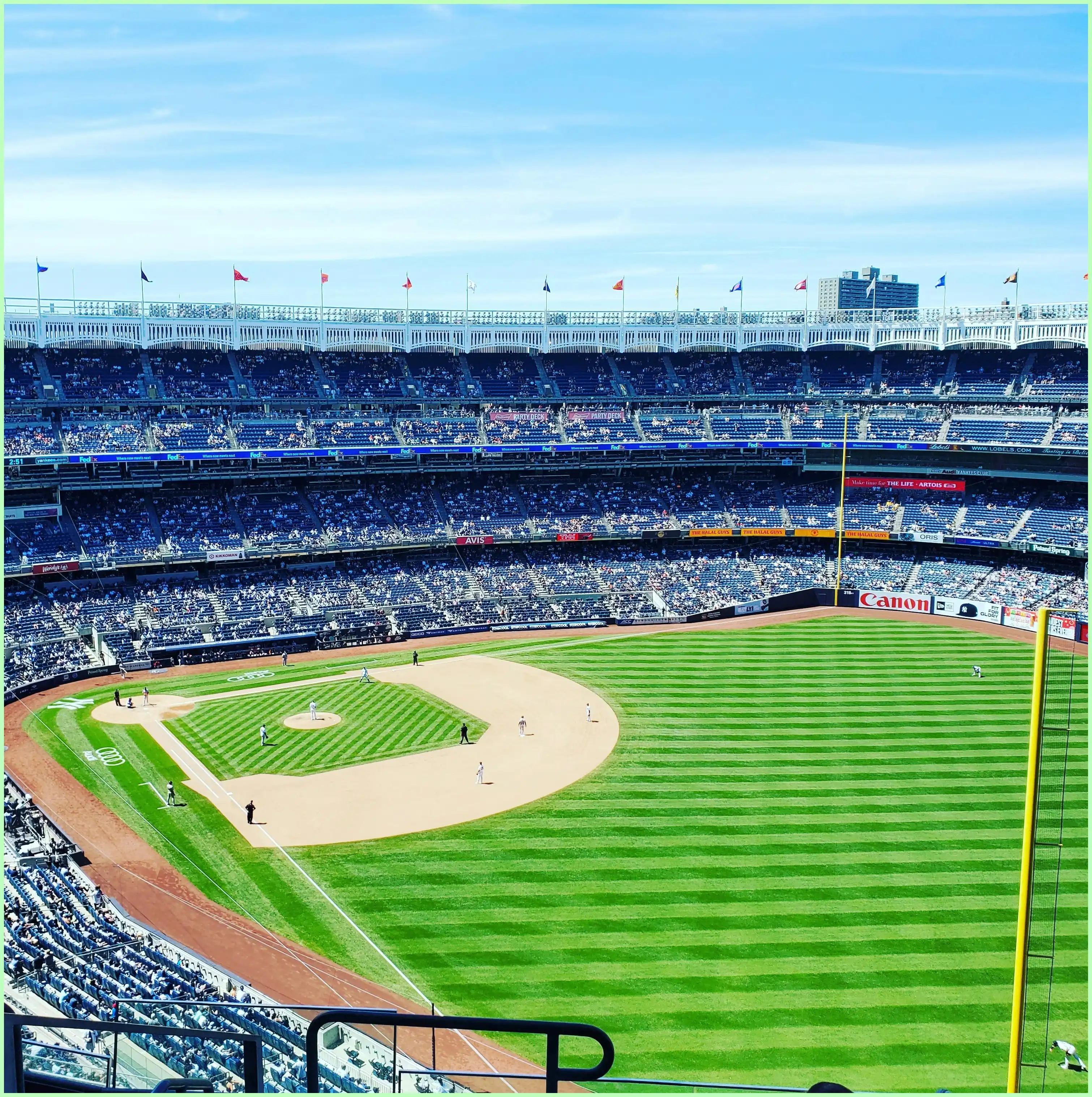 메이저리그 월드시리즈 야구