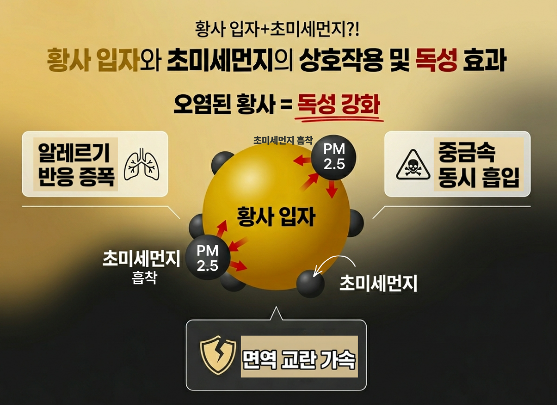 황사 미세먼지 동시 발생, 오염된 황사 독성, 초미세먼지 면역 저하, 봄철 대기오염 위험