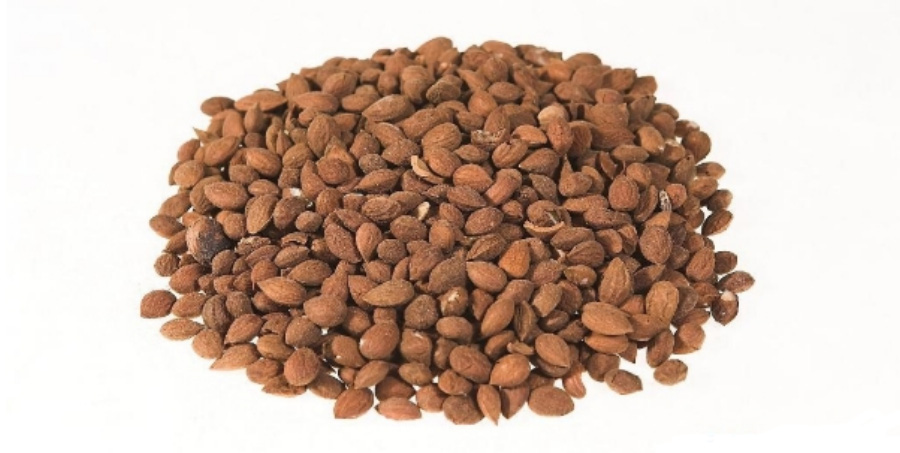 야생에서 채취를 한 욱이인을 깨끗하게 세척을 한 후에 하얀 바닥 위에 수북하네 놓아두고 찍은 사진