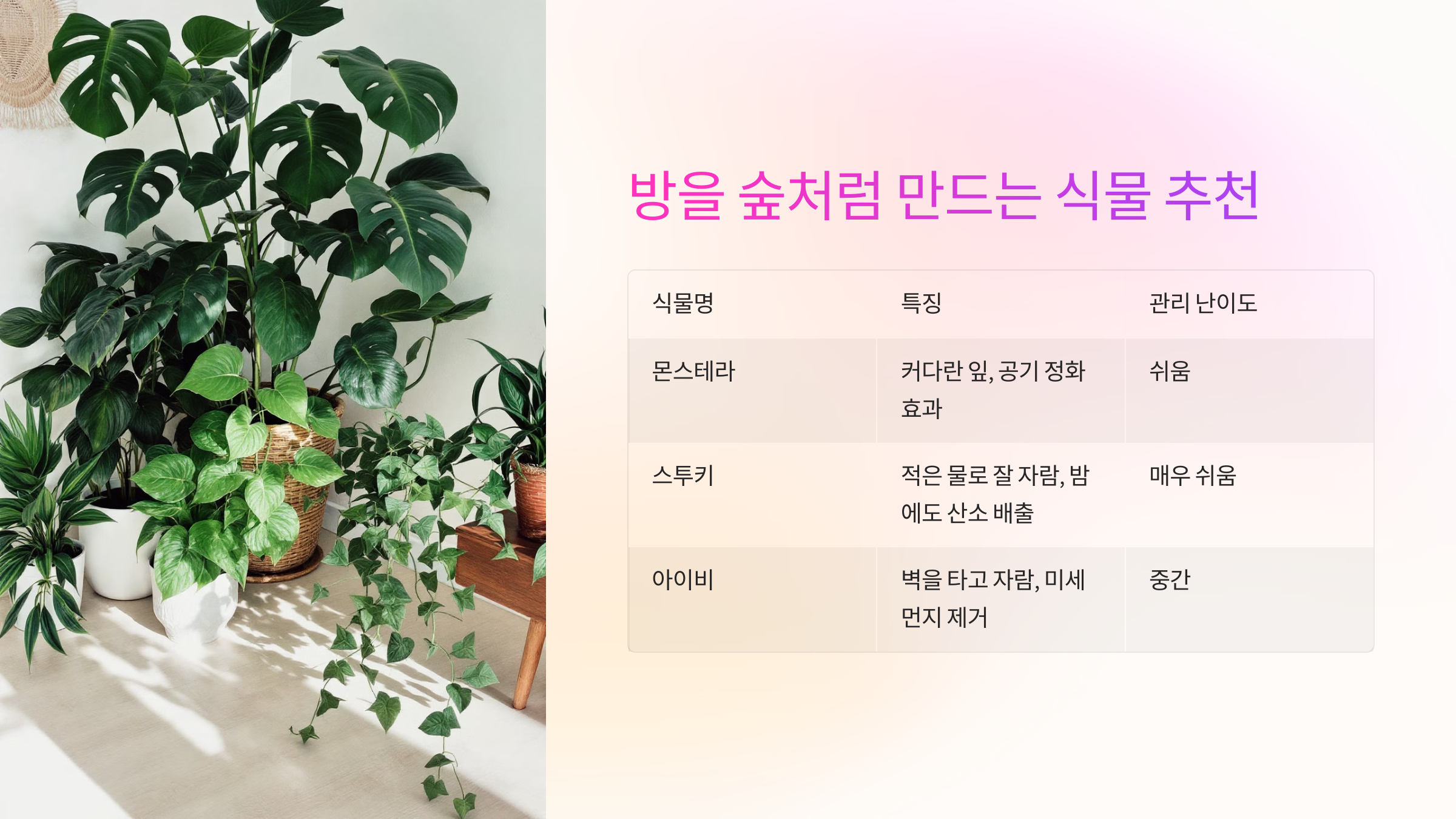 방을 숲처럼 만드는 식물 추천