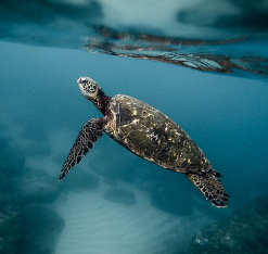 겨울철 타이어 적정 공기압