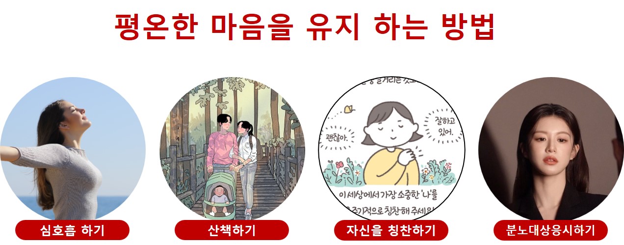혈관건강